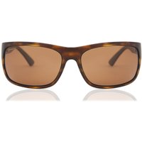 セレンゲティ Serengeti Pistoia Polarized 8300 メガネ フレーム - 男性用 - べっ甲shell