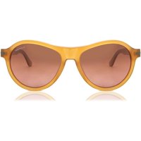 セレンゲティ Serengeti Danby Polarized SS527002 メガネ フレーム - 男性用 - 茶色