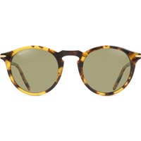 セレンゲティ Serengeti Raffaele Polarized SS041002 メガネ フレーム - 女性用 - べっ甲shell