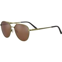セレンゲティ Serengeti Odell Polarized SS555002 メガネ フレーム - 男性用 - 緑