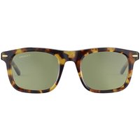 Serengeti Charlton Polarized SS576005 Men's Sunglasses Tortoiseshell Size 52