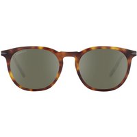 セレンゲティ Serengeti Arlie Polarized SS483008 メガネ フレーム - 男性用 - べっ甲shell