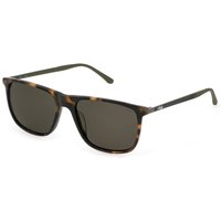 Fila SFI299V Polarized C10P メガネ フレーム - 男性用 - べっ甲shell