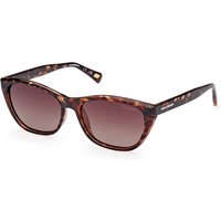 Skechers SE6218 Polarized 56H メガネ フレーム - 女性用 - べっ甲shell