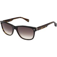 Ted Baker TB1753 Dayton 119 メガネ フレーム - 男性用 - べっ甲shell