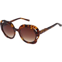 Ted Baker TB1772 Aurora 100 メガネ フレーム - 女性用 - べっ甲shell