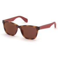 Adidas Originals OR0044 55U Men's Sunglasses Tortoiseshell Size 54