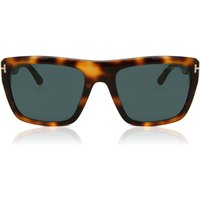 トム フォード トム フォード Tom Ford FT1077 ALBERTO 53V メガネ フレーム - 男性用 - べっ甲shell