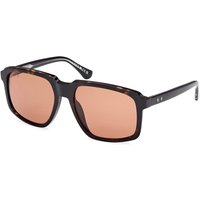 Web Eyewear WE0378 56J Men's Sunglasses Tortoiseshell Size 58