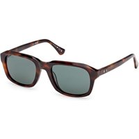 Web Eyewear WE0389 52N Men's Sunglasses Tortoiseshell Size 54