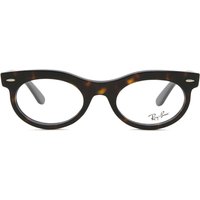 レイバン Ray-Ban RX2242V Wayfarer 楕円形 2012 サングラス - 男性用 - べっ甲shell