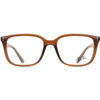 レイバン Ray-Ban RX7248D アジアフィット 8409 サングラス - 男性用 - 茶色
