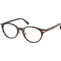 Michael Kors MK4198D DARJEELING 4039 サングラス - 女性用 - べっ甲shell