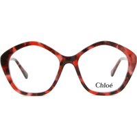 Chloé CC0011O 子供用 005 サングラス - 子供用 - べっ甲shell