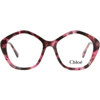 Chloé CC0011O 子供用 006 サングラス - 子供用 - べっ甲shell