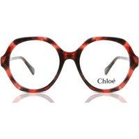Chloé CC0012O 子供用 005 サングラス - 子供用 - べっ甲shell