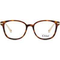 Chloé CH0219OA アジアフィット 002 サングラス - 女性用 - べっ甲shell