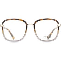 Chloé CH0034O 018 サングラス - 女性用 - べっ甲shell