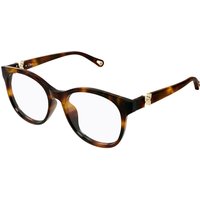 Chloé CH0375O 002 サングラス - 女性用 - べっ甲shell