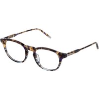 Lozza VL4238 Biella 3 0WTG サングラス - 男性用 - べっ甲shell