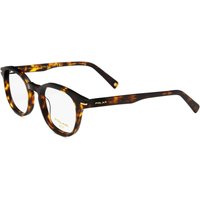 Polar GOLD 23 428 サングラス - 男性用 - べっ甲shell