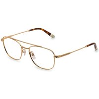 Etnia Barcelona Hoboken II GDHV サングラス - 男性用 - 金色