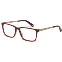 Ted Baker TB8218 Silas 259 サングラス - 女性用 - 赤