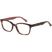 Ted Baker TB8230 Wiley 106 サングラス - 男性用 - べっ甲shell