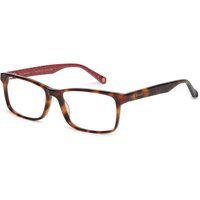 Ted Baker TB8231 Berg 106 サングラス - 男性用 - べっ甲shell