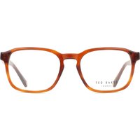Ted Baker TB8245 107 サングラス - 男性用 - べっ甲shell