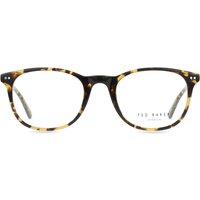 Ted Baker TB8279 132 サングラス - 男性用 - べっ甲shell