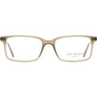 Ted Baker TB8280 413 サングラス - 男性用 - 緑