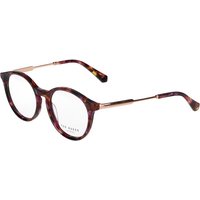 Ted Baker TB9259 703 サングラス - 女性用 - べっ甲shell