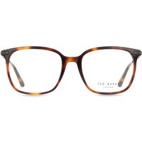 Ted Baker TB8295 407 サングラス - 男性用 - べっ甲shell