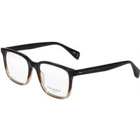 Ted Baker TB8316 101 サングラス - 男性用 - 茶色