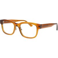 Prodesign Cut 6N 5025 Men's Eyeglasses Brown Size 55 - Blue Light Block Available
