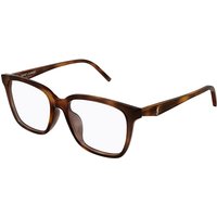 サンローラン Saint SL M191/F アジアフィット 003 サングラス - 女性用 - べっ甲shell