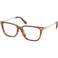 Swarovski SK2067D アジアフィット 1091 サングラス - 女性用 - べっ甲shell