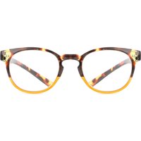 Montana Readers MNR1 MNR1B Men's Eyeglasses Brown Size +1.00 - Blue Light Block Available