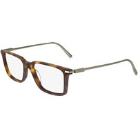 Salvatore Ferragamo SF 2977 240 サングラス - 男性用 - べっ甲shell