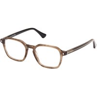 Web 眼鏡 WE5428 051 サングラス - 男性用 - 茶色