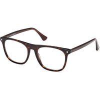 Web 眼鏡 WE5462 052 サングラス - 男性用 - べっ甲shell