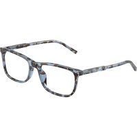 Dolce & Gabbana DG3427 3392 サングラス - 男性用 - べっ甲shell