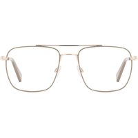Privé Revaux PR1013/G アジアフィット 10A サングラス - 女性用 - 茶色