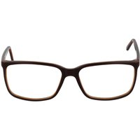 ANDY WOLF 4526 E サングラス - 男性用 - 茶色