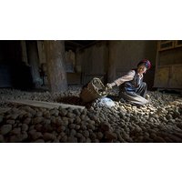 Image of Online Photography Foundation Course in a Virtual Classroom for One