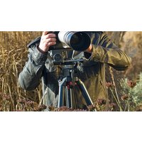 Image of Online Flower and Plant Photography Course for One with an Expert