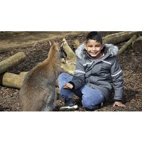 Image of Outback Feeding Experience at Ventura Wildlife Park for Two