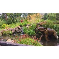 Image of Beale Park Wildlife Park and Gardens Entry and a Cream Tea for Two