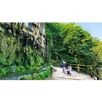 Image of Mother Shipton's Cave Entry for Two Adults and Three Children